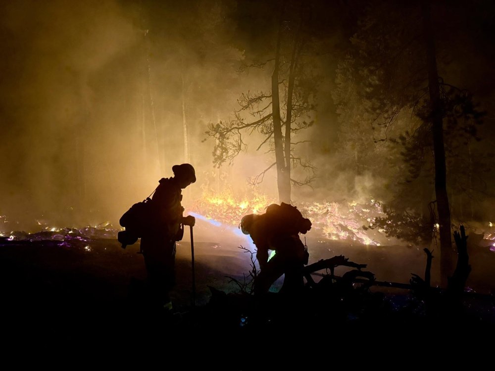 Two firefighters working a hoseline against an active wildland fire at night